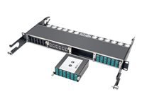 Bild von EATON TRIPPLITE 100Gb/120Gb to10Gb Breakout Cassette 24-Fiber OM4mTP/MPO Male with Pins to x12 LC Duplex