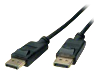 Bild von ROLINE GREEN DisplayPort Kabel v1.4 DP ST - ST schwarz 2m