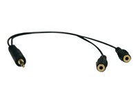 Bild von EATON TRIPPLITE 3,5mm Mini Stereo Cable adapter Y Splitter for Speakers and Headphones M to 2x F 1 ft. 0,31m