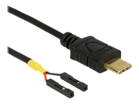 Bild von DELOCK Kabel USB Type-C Stecker > 2 x Pfostenbuchse einzeln Strom 10cm