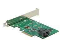 Bild von DELOCK PCI Express Karte > 1 x intern NVMe M.2 PCIe / 1 x intern SFF-8643 NVMe – Low Profile Form Faktor