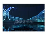 Bild von RAZER Cynosa V2 German Layout (P)