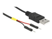 Bild von DELOCK USB Stromkabel Typ-A auf 2 x Pfostenstecker einzeln Strom 10cm