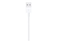 APPLE LIGHTNING TO USB CABLE (1M)