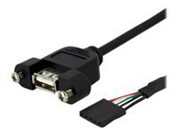 Bild von STARTECH.COM 1ft Panel Mount USB Cable - USB A to Motherboard Header Cable F/F