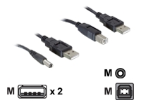 Bild von DELOCK Kabel USB Power-Kabelset > DC+USB-B 30cm