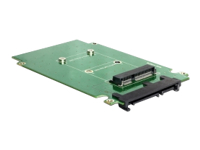 Bild von DELOCK Konverter SATA 22 Pin > mSATA inkl. 2.5 Rahmen