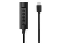 SANDBERG Headset USB-C, Controller, 1.5m