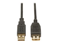 Bild von EATON TRIPPLITE USB 2.0 Extension Cable A M/F 16ft. 4,88m