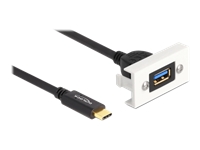 Bild von DELOCK Easy 45modul SuperSpeed USB 10 Gbps USB 3.2 Gen 2 USB Typ-A Buchse zu USB Type-C Stecker mit Kabelpeitsche 22,5 x 45mm