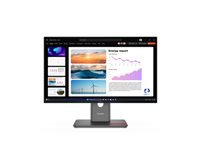 Bild von LENOVO ThinkVision P24Q-40 60,45cm 23,8Zoll 2560x1440 IPS 120Hz Daisy Chain USB-C 15W Factory calibrated panel Epeat Gold TCO10