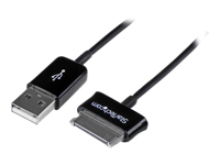 Bild von STARTECH.COM 2m Dock Connector auf Samsung Galaxy Tab USB Kabel