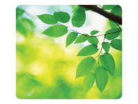 FELLOWES Earth Series Mouse pad Blade