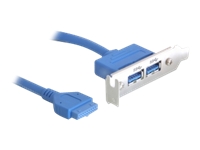 Bild von DELOCK Slotblech - USB 3.0 2x Port extern / 1x Pinheader intern Low Profile