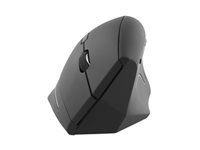 TNB ERGO - Souris sans fil ergonomique verticale ultra légère Bluetooth + USB-A 2.4 GHz - noir