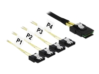 Bild von DELOCK Kabel Mini SAS SFF-8087 > 4 x SATA 7 Pin 0,5m Metall