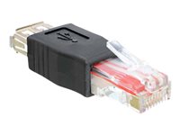 Bild von DELOCK Adapter USB 2.0-A Bu > RJ45 St