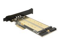 Bild von DELOCK PCI Express x4 Karte > 1 x intern M.2 Key B + 1 x intern NVMe M.2 Key M – Low Profile Formfaktor