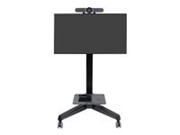 ERGOTRON Neo-Flex Mobile MediaCenter VHD 37-55inch 23-41kg lift tilt rotation