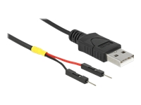 Bild von DELOCK USB Stromkabel Typ-A auf 2 x Pfostenstecker einzeln Strom 20cm