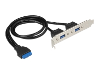 Bild von DELOCK Slotblech 1 x 19 Pin USB 3.0 Pfostenbuchse intern > 2 x USB 3.0 Typ-A Buchse extern