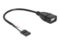 Bild von DELOCK Kabel USB Pinheader Buchse > USB-A 1 x Buchse 20 cm