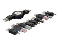 Bild von DELOCK ZU USB Adapterkit 10-teilig