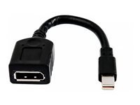 HP BULK 12 MINIDP-TO-DP ADAPTER CABLES