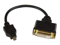 Bild von STARTECH.COM 20cm Mini HDMI auf DVI-D Adapter - St/Bu - Mini HDMI zu DVI Konverter Kabel