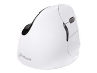Bild von EVOLUENT Vertical Mouse 4 Bluetooth Rechte Hand Ergonomische Maus Ergonomie PC Zubehoer