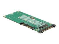 Bild von DELOCK Konverter U.2 SFF-8639 NVMe / SATA 22 Pin > 1 x M.2 Key M