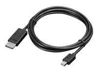 Bild von LENOVO Mini DisplayPort to DisplayPort Cable