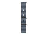 Bild von APPLE 49mm Anchor Blue Ocean Band - Natural Titanium Finish