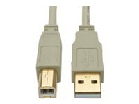 Bild von EATON TRIPPLITE USB 2.0 A/B Cable M/M Beige 10ft. 3,05m