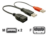 Bild von DELOCK Kabel USB Y 2x USB-ST > USB-Buchse