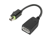 Bild von LENOVO ThinkStation Mini DP to DP Adapter