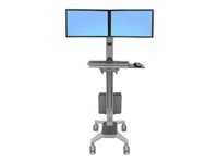 ERGOTRON Neo-Flex Dual Wide View WorkSpace