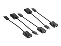 Bild von STARTECH.COM DisplayPort auf VGA Adapter - 1080p 1920x1200 - Aktiver DP zu VGA Stecker/Buchse - HD Videokonverter - 5 Pack