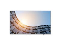 LENOVO ThinkVision E65 LFD 64.5inch UHD